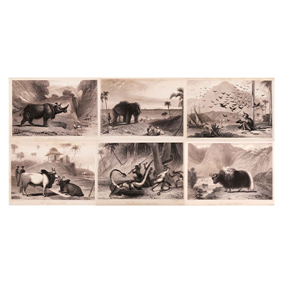 Six Beautiful Animal Study in Steel Engravings