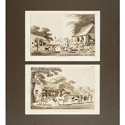 A group of fourteen cipia toned  lithographs from Oriental Field Sports